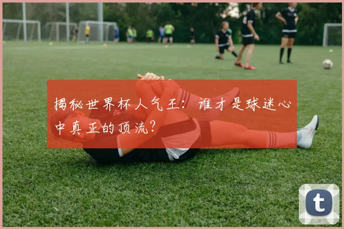 揭秘世界杯人气王:谁才是球迷心中真正的顶流?