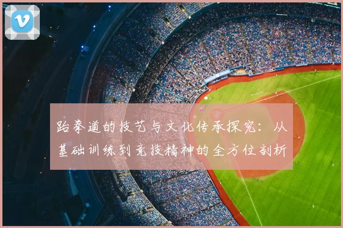 跆拳道的技艺与文化传承探究：从基础训练到竞技精神的全方位剖析