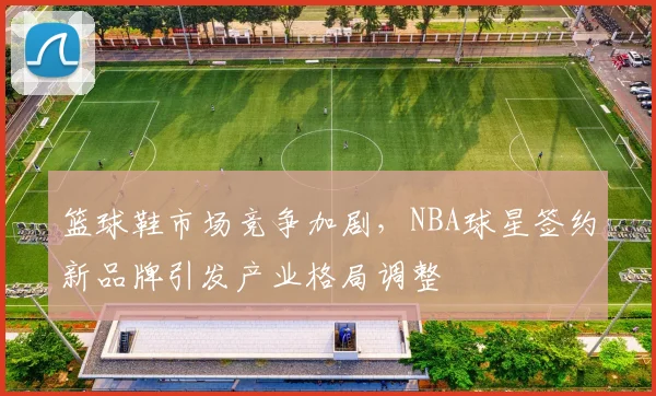 篮球鞋市场竞争加剧，NBA球星签约新品牌引发产业格局调整