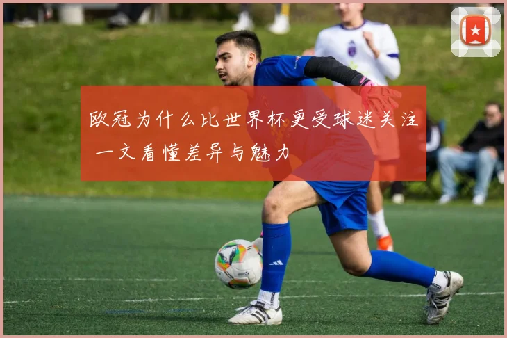 欧冠为什么比世界杯更受球迷关注 一文看懂差异与魅力