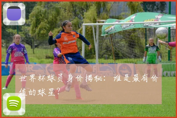 世界杯球员身价揭秘:谁是最有价值的球星?