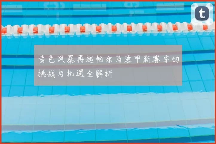 黄色风暴再起帕尔马意甲新赛季的挑战与机遇全解析