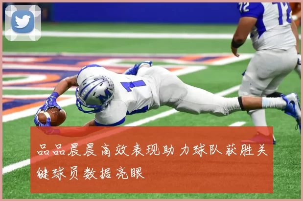 品品晨晨高效表现助力球队获胜关键球员数据亮眼