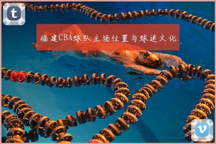 福建CBA球队主场位置与球迷文化